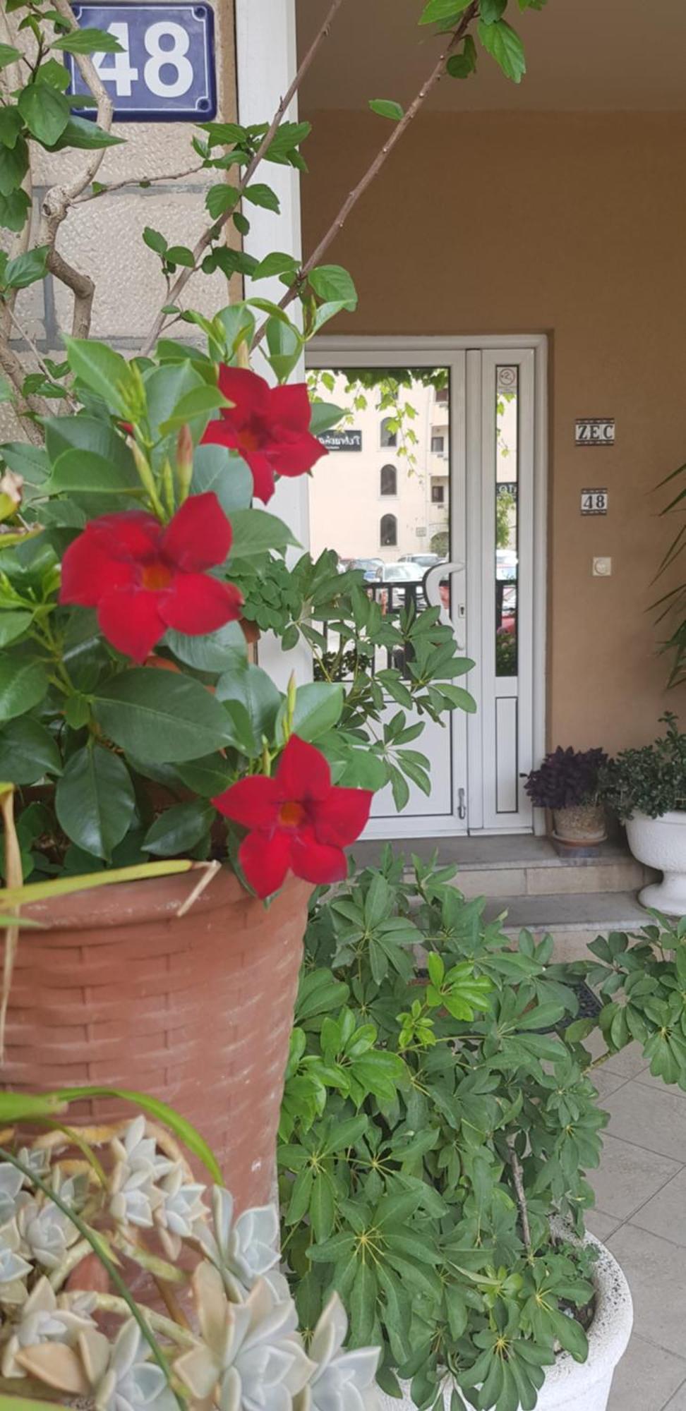Villa Pedja Zec Exclusive 3+ Будва Екстер'єр фото